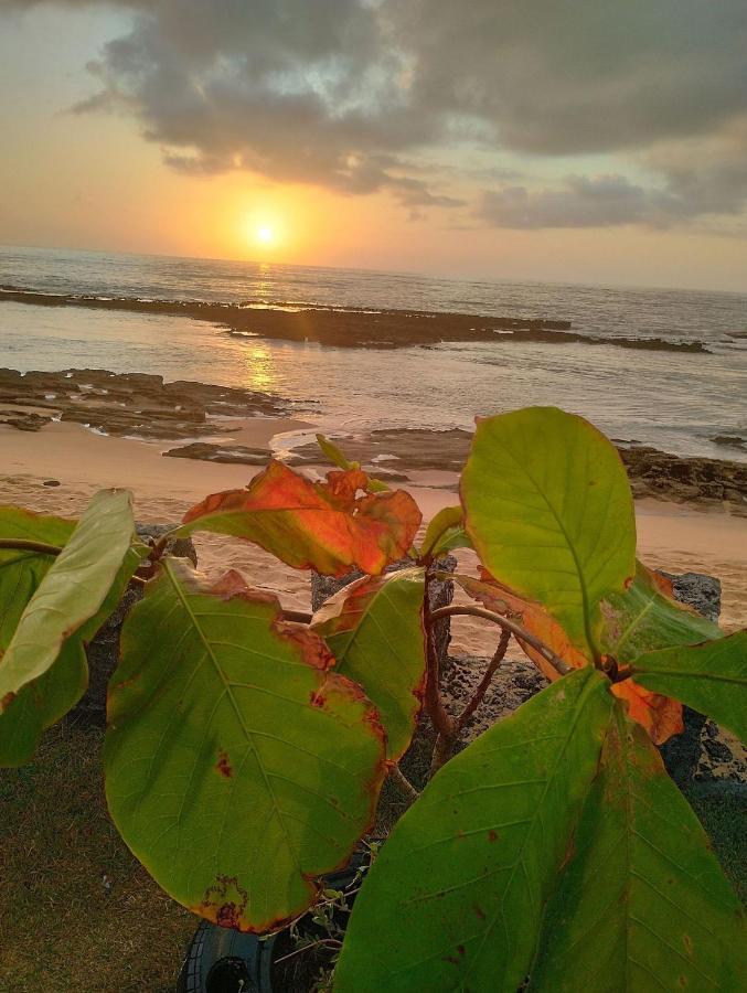 Pousada Tropicalia Tranquilidade A Beira Mar Санта-Крус-Кабралия Экстерьер фото